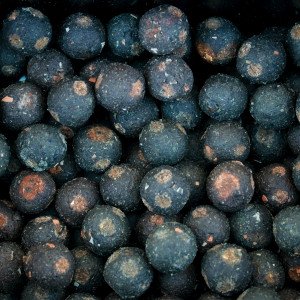 Vnadící boilies KRILL / 3kg